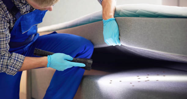 Best Residential Pest Control  in South Farmingdale, NY