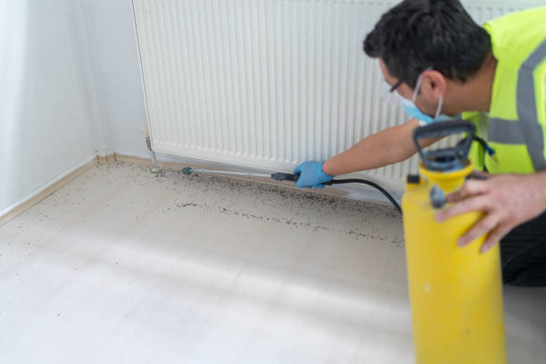 Best Emergency Pest Control  in South Farmingdale, NY